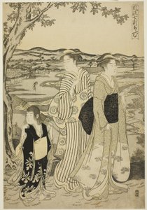 Papuga Komachi, z serii Modnych siedmiu Komachi (Furyu nana Komachi), ok. 1788 (kolorowy drzeworyt; Oban) autorstwa Chobunsai Eishi