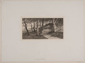 Z Maribo autorstwa Chr. Benzon
