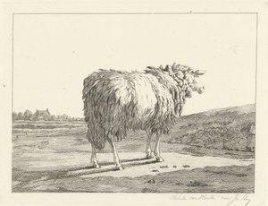 Owce w krajobrazie autorstwa Christiaan Godfried Schutze van Houten