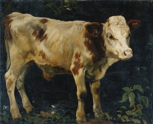 Byk cielę, 1876