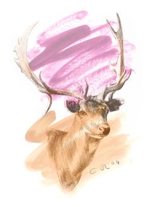 Głowa jelenia - Cerise Sienna, 2004 (olej i conte na papierze) autorstwa Christian Furr