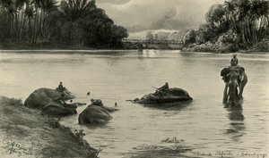 Słonie kąpiące się w rzece Mahaweli, Cejlon, 1898. autorstwa Christian Wilhelm Allers