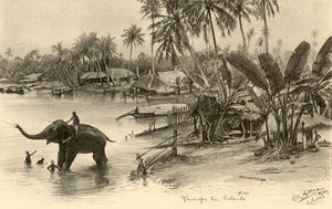 Mycie słonia w rzece, Kolombo, Cejlon, 1898. autorstwa Christian Wilhelm Allers