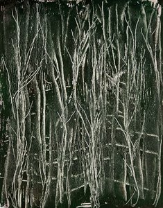  autorstwa Christina Misuro