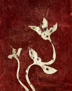  autorstwa Christina Misuro