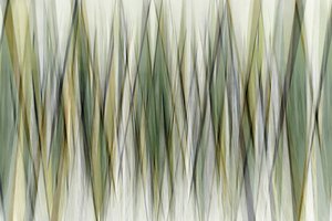 Ziemiste linie geometryczne autorstwa Christina Sillen