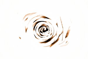 Elegancka Sepia Rose autorstwa Christina Sillen