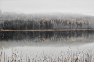 Mgliste jesienne jezioro autorstwa Christina Sillen