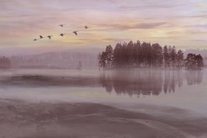 Lot ptaków nad Misty Lake autorstwa Christina Sillen