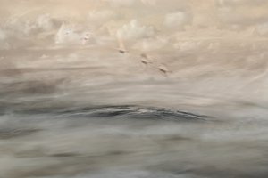 Silver Haze autorstwa Christina Sillen