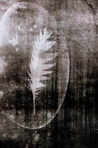 Księżyc Białego Pióra autorstwa Christina Sillen