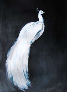 Elegancki biały paw autorstwa Christine Lindstrom