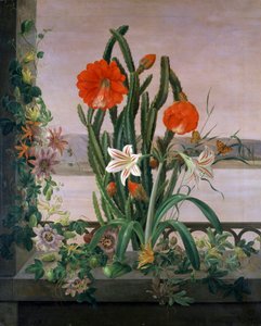 Martwa natura z kaktusów, lilii i passiflory na parapecie. Obraz autorstwa Christine Marie Lovmand (1803-1872). Kolekcja prywatna. autorstwa Christine Lovmand