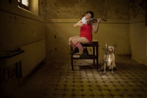 Niezwykła serenada w pokoju autorstwa Christine von Diepenbroek