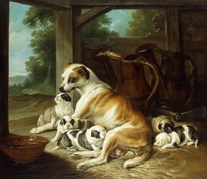 Matka ze swoimi szczeniakami, 1734