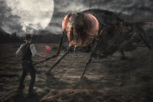Spotkanie z gigantyczną muchą autorstwa Christophe Kiciak
