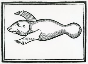 Ryba zwana „Manati” z „Ogólnej historii Indii” 1547