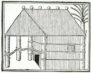 Mieszkanie Indianina z 