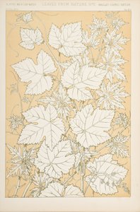 Liście z natury, 1868 (chromolitho) autorstwa Christopher Dresser