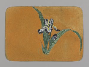 Iris (wc na papierze)