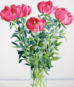 Piwonie (akwarela na papierze)