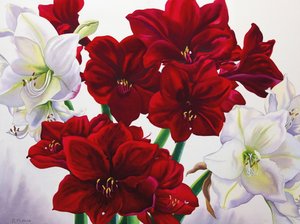 Czerwony i biały amarylis, 2008 (wc na papierze) autorstwa Christopher Ryland