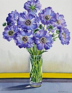 Świerzb z żółtą opaską (akwarela na papierze) autorstwa Christopher Ryland