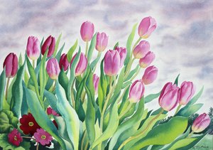 Tulipany przy oknie (akwarela na papierze)
