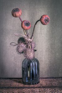  autorstwa Cicek Kiral