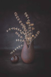  autorstwa Cicek Kiral