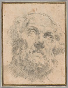 Głowa starca, prawdopodobnie Seneca autorstwa Circle of Peter Paul Rubens