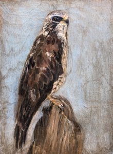  autorstwa Claire Lerner