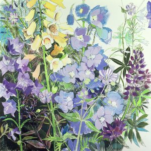 Delphinium i naparstnice