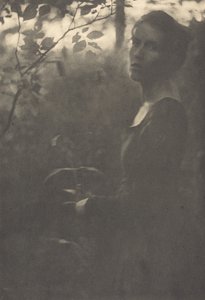 Edge of the Woods, Wieczór, 1900.