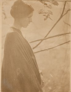 Światło słoneczne autorstwa Clarence H. White