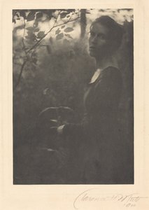 Krawędź lasu, wieczór, 1900 r. (zdjęcie)