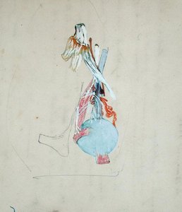 Układ nerwowy w głowie kota, 25 maja 1842 (ołówek & akwarela na papierze) autorstwa Claude Bernard