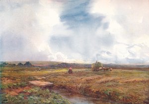 Hayfield, 1872-1906, 1906.