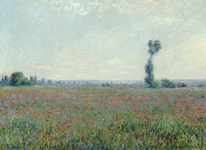 Pole maków autorstwa Claude Monet