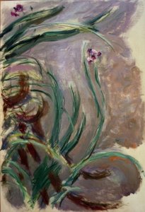 Irys (Irysy) autorstwa Claude Monet