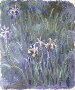 Irys, ok. 1914-1917 autorstwa Claude Monet