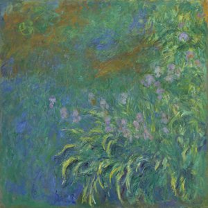 Irysy, 191417. autorstwa Claude Monet