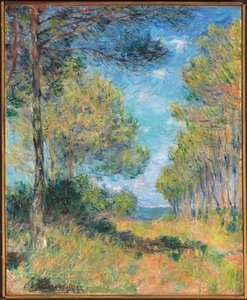 Ścieżka Sosny w Varengeville; Allee de sapins Varengeville, 1882 autorstwa Claude Monet