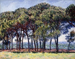 Sosny, Cap d"Antibes, 1888 r. autorstwa Claude Monet