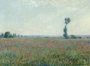 Pole makowe, 1881 autorstwa Claude Monet