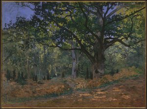 Dąb Bodmer, Las Fontainebleau, 1865 autorstwa Claude Monet