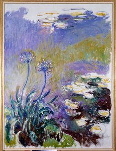 Agapant autorstwa Claude Monet