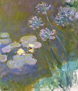 Lilie wodne i agapanty autorstwa Claude Monet