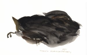 Śpiący kot, 1985 (akwarela) autorstwa Claudia Hutchins Puechavy