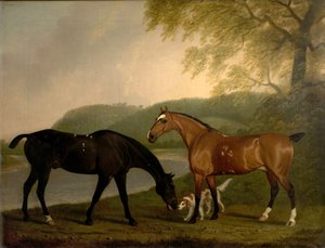 Konie i pies w krajobrazie, ok. 1830 autorstwa Clifton Tomson